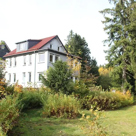 Fichtenrauschen Goslar